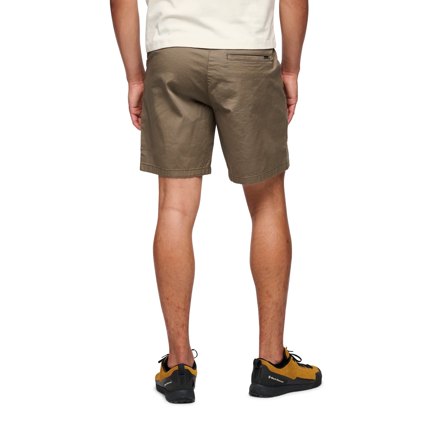 Shorts Notion