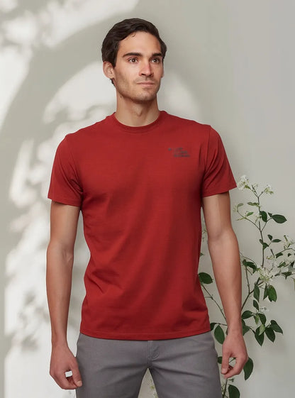 Playera Dessert to Mountain Manga Corta para Hombre